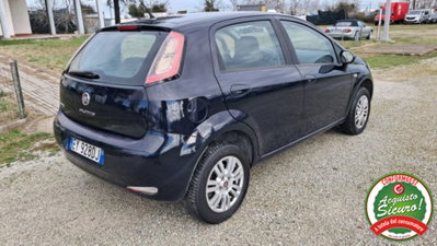 Fiat Punto 1.4 8V 5 porte Natural Power Street (2)