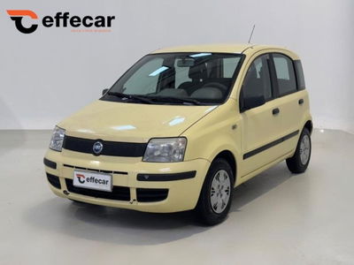 Fiat Panda 1.1 Active usata