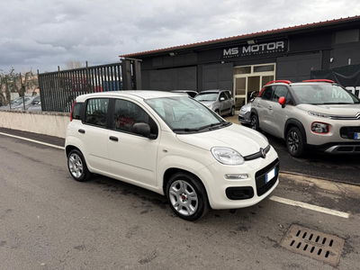 Fiat Panda 1.2 Lounge usata