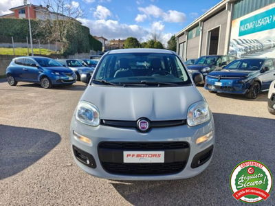 Fiat Panda 1.2 EasyPower Easy usata
