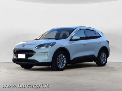 Ford Kuga 2.0 EcoBlue 120 CV aut. 2WD ST-Line X usata