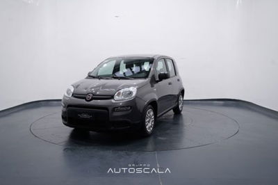 Fiat Panda 1.0 firefly hybrid s&s 70cv usata