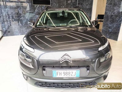 Citroen C4 Cactus BlueHDi 100 Shine usata