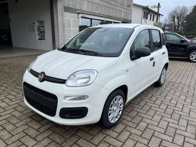 Fiat Pandina 1.0 firefly hybrid s&s 70cv (3)
