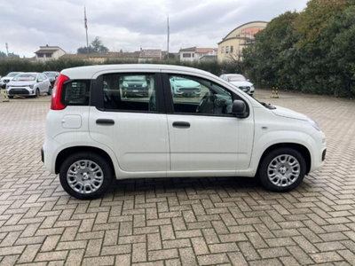 Fiat Pandina 1.0 firefly hybrid s&s 70cv (5)