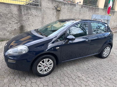 Fiat Punto 1.2 8V 5 porte Lounge usata