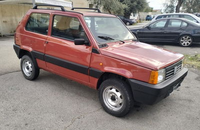 Fiat Panda 1100 i.e. cat 4x4 Trekking usata