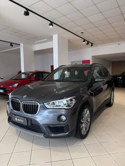 BMW X1 xDrive18d Business Advantage (3)