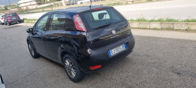 Fiat Punto Evo 1.2 5 porte S&S Dynamic (2)