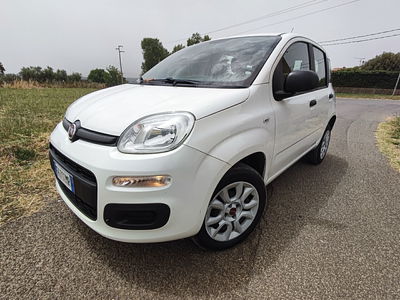 Fiat Panda 0.9 TwinAir Turbo Natural Power Lounge usata
