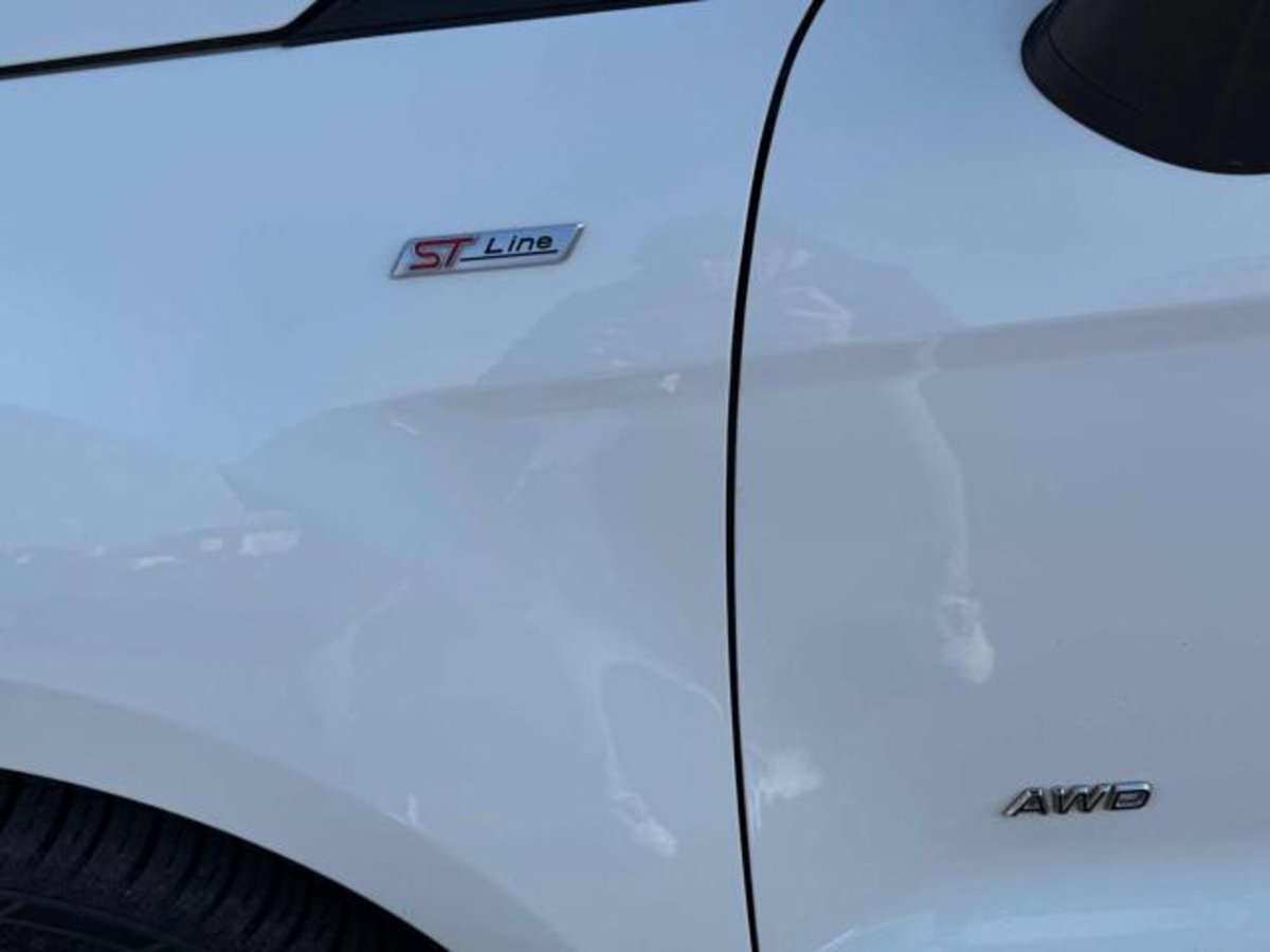 Ford EcoSport 1.5 Ecoblue 125 CV Start&Stop AWD ST-Line Black Edition (17)