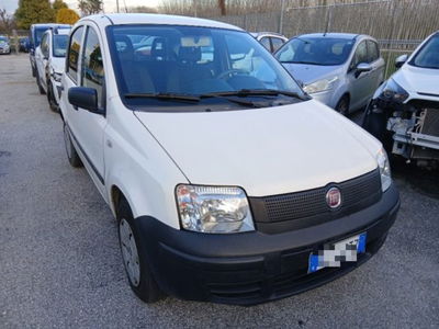 Fiat Panda 1.1 Active usata