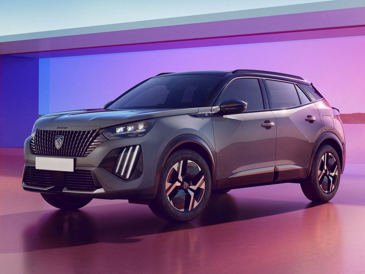Peugeot 2008 1.2 puretech Style s&s 100cv (5)