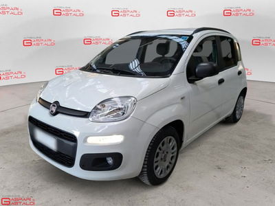Fiat Panda 1.2 EasyPower Easy usata