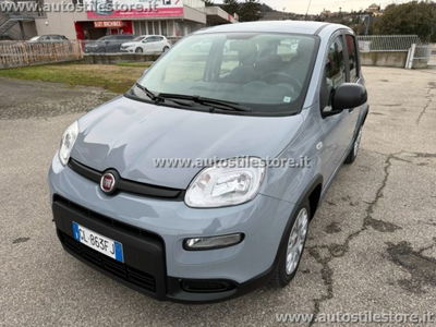 Fiat Panda 1.0 firefly hybrid s&s 70cv 5p.ti usata