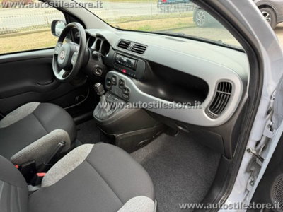 Fiat Panda 1.0 firefly hybrid s&s 70cv 5p.ti (9)