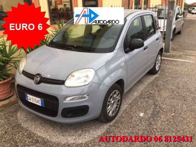 Fiat Panda 1.2 Easy usata