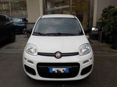 Fiat Panda 1.0 firefly hybrid s&s 70cv 5p.ti usata