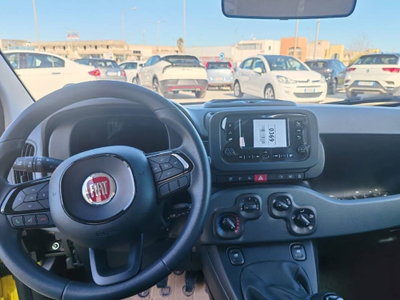 Fiat Panda 30 (10)