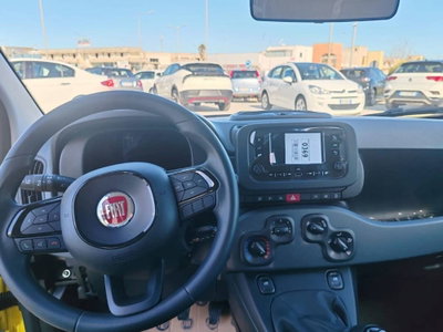 Fiat Panda 30 (11)
