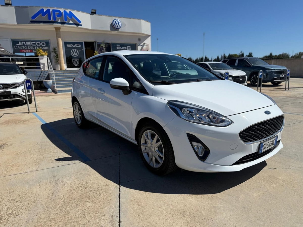 Ford Fiesta 1.5 EcoBlue 5 porte Titanium (10)