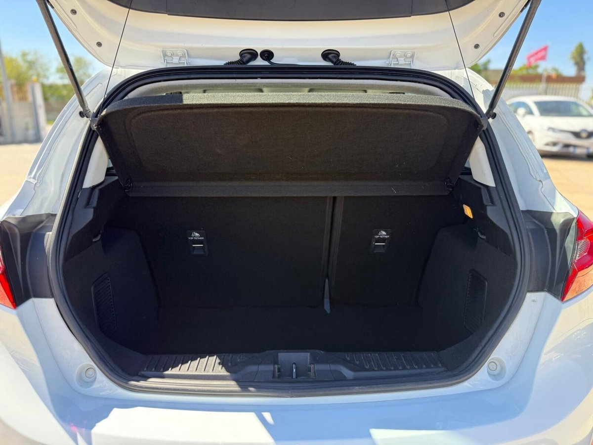 Ford Fiesta 1.5 EcoBlue 5 porte Titanium (13)