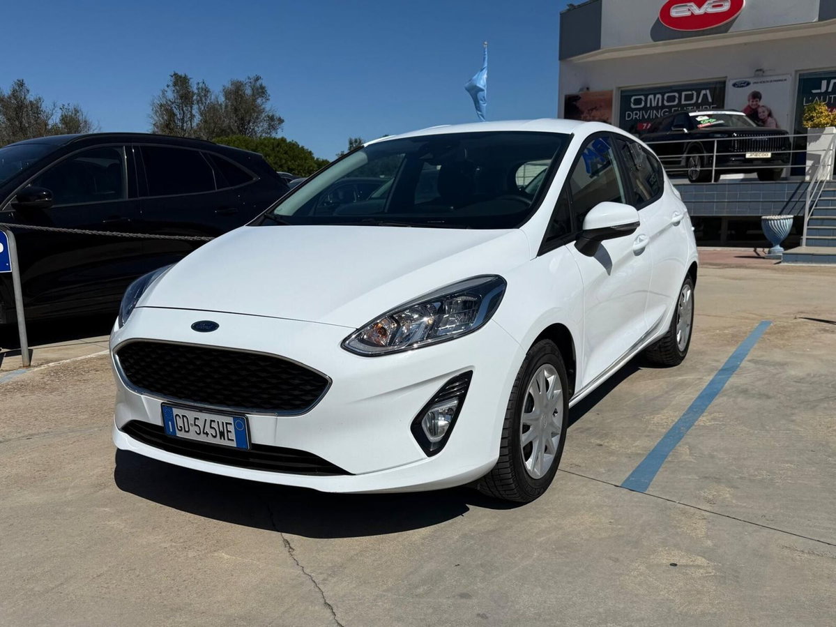 Ford Fiesta 1.5 EcoBlue 5 porte Titanium (4)