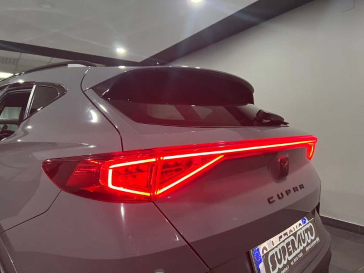 Cupra Formentor Formentor 2.0 TDI (12)