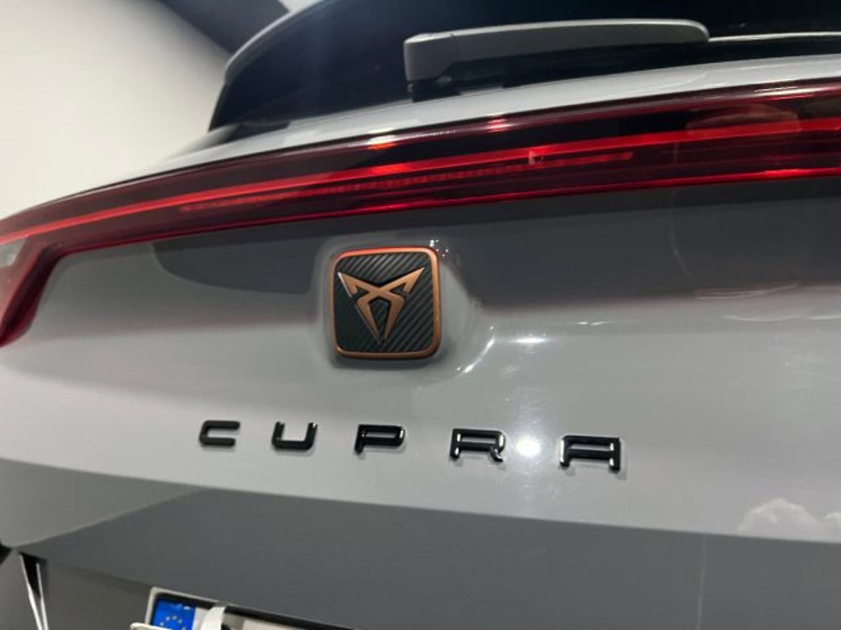 Cupra Formentor Formentor 2.0 TDI (13)
