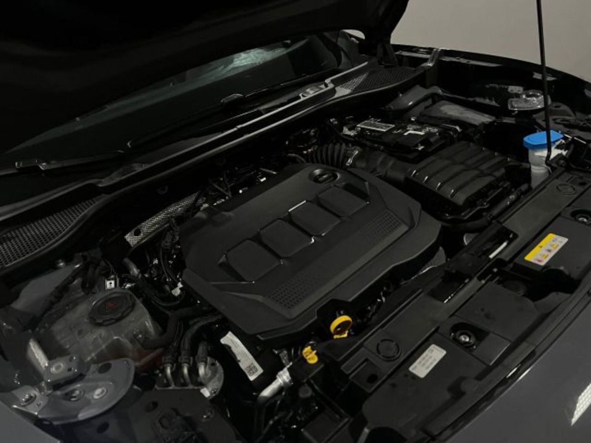 Cupra Formentor Formentor 2.0 TDI (15)