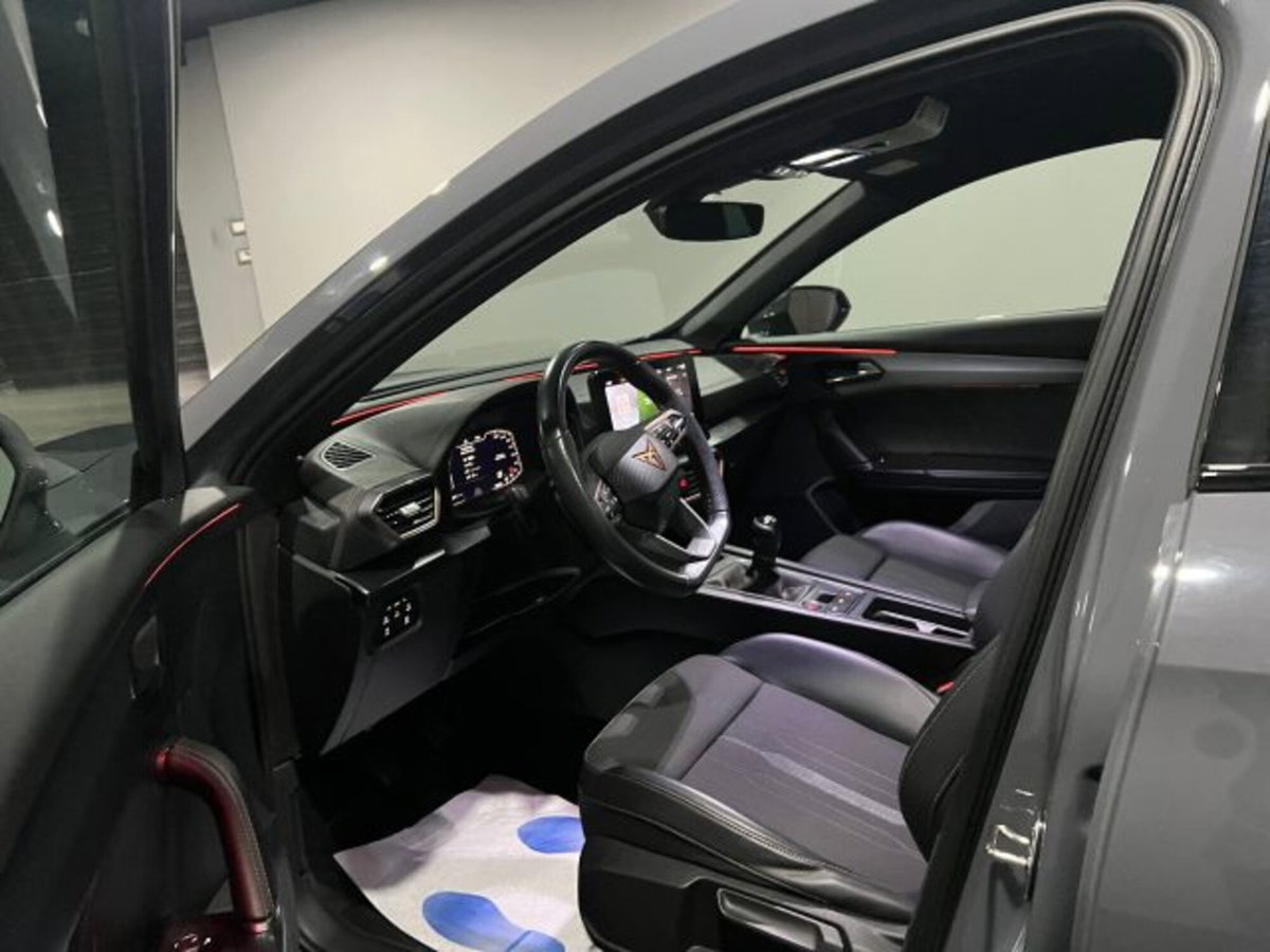 Cupra Formentor Formentor 2.0 TDI (6)