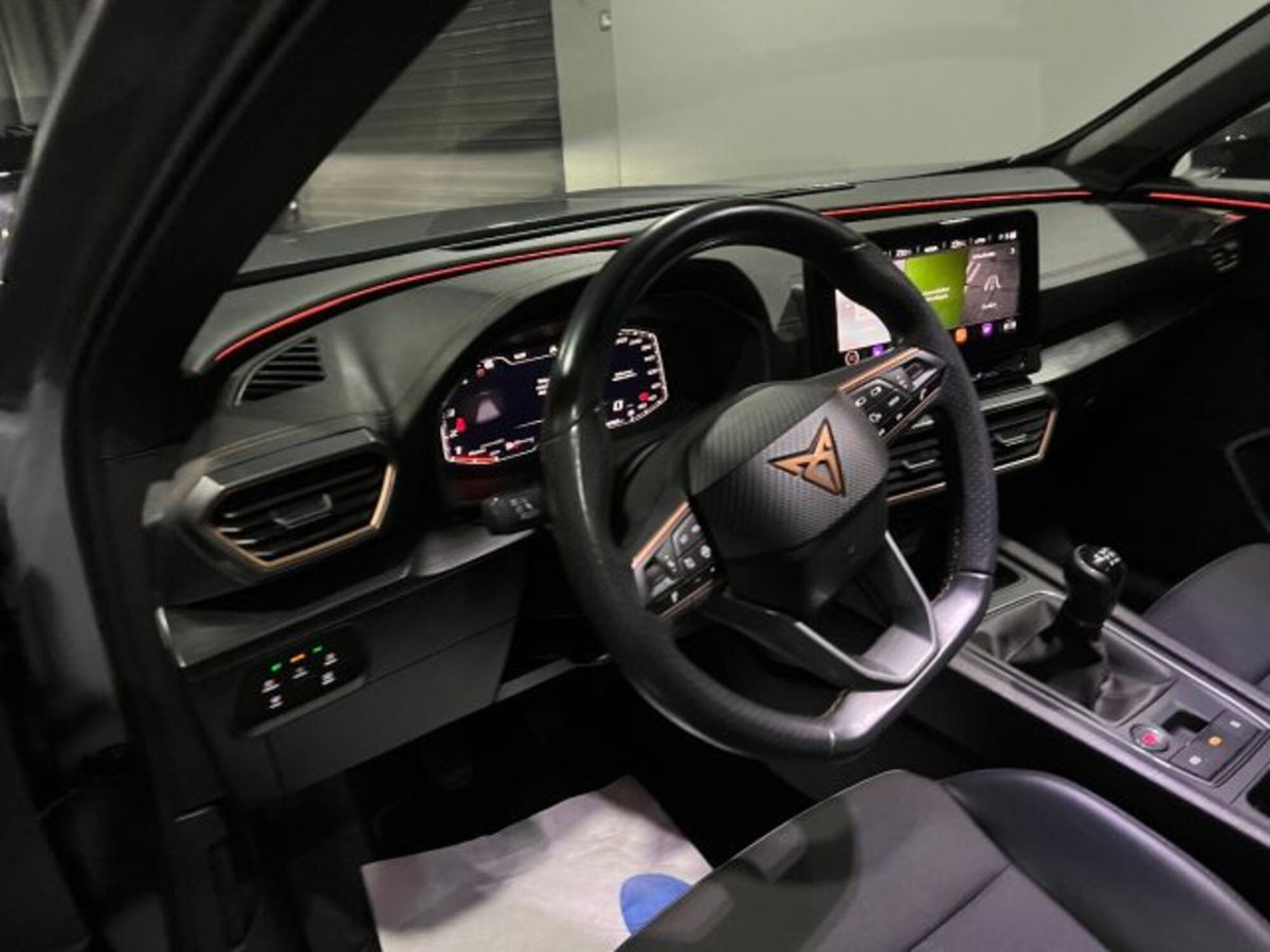 Cupra Formentor Formentor 2.0 TDI (7)