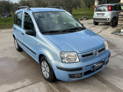 Fiat Panda 1.2 Dynamic usata