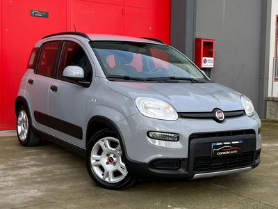 Fiat Panda 1.0 FireFly S&S Hybrid City Life usata