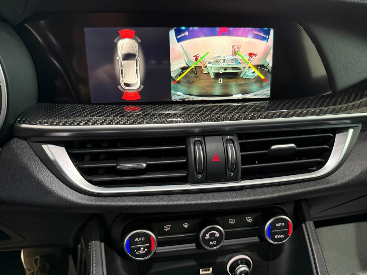 Alfa Romeo Stelvio Stelvio 2.9 Bi-Turbo V6 510 CV AT8 Quadrifoglio (16)