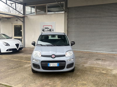 Fiat Panda 1.2 Lounge usata