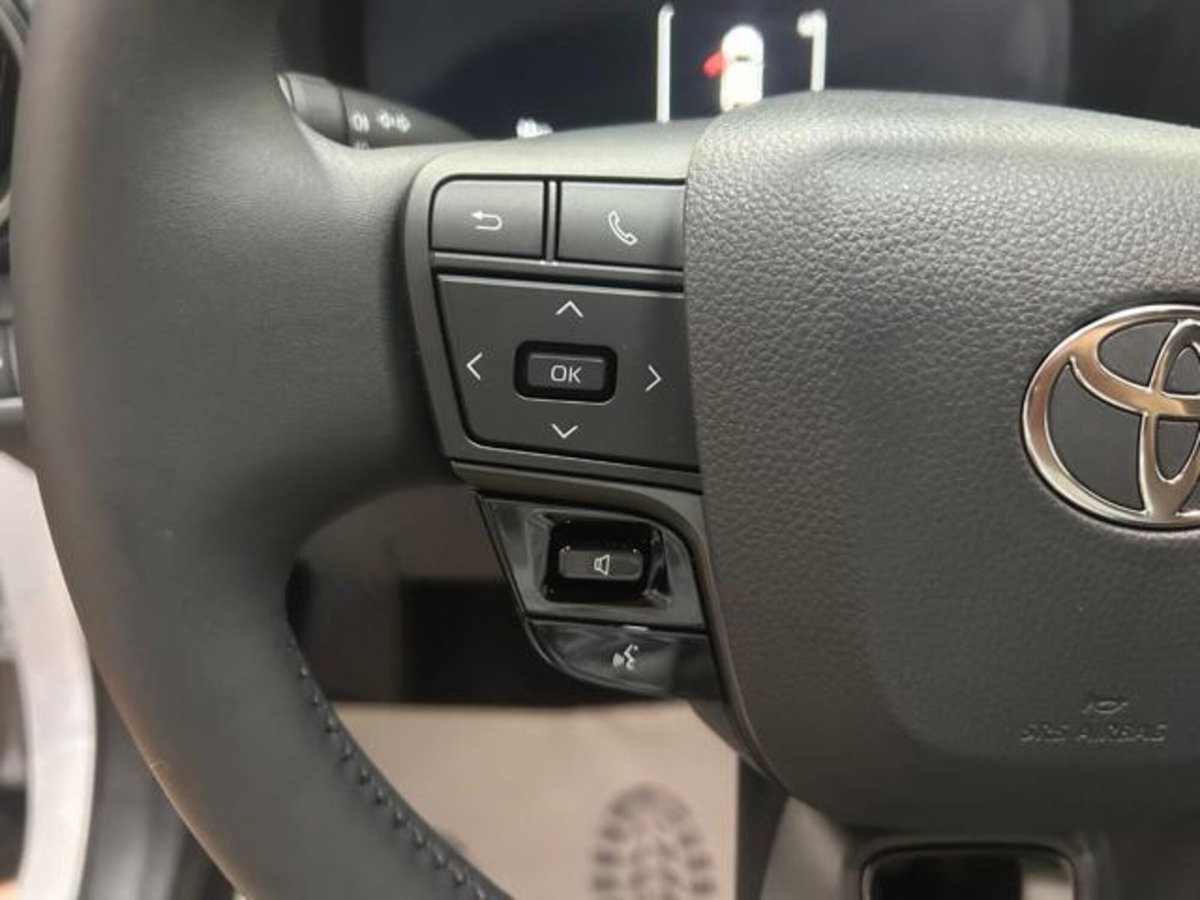 Toyota Toyota C-HR 2.0 phev Trend fwd e-cvt (7)