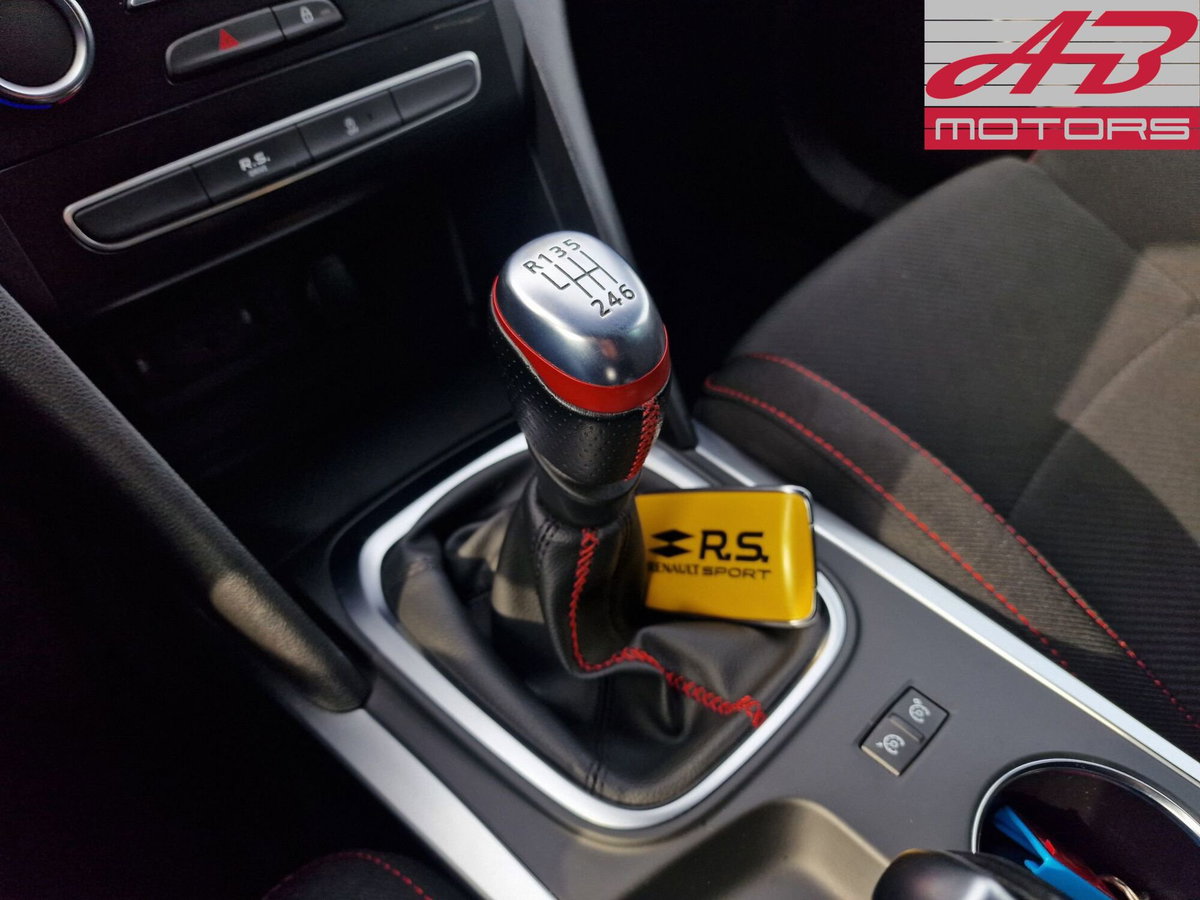 Renault Mégane TCe 300 CV R.S. Trophy 4Control (18)