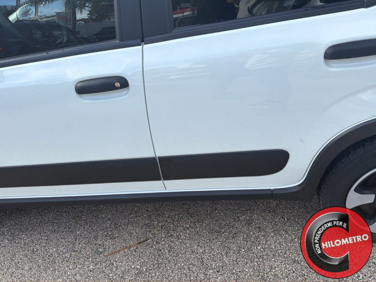 Fiat Panda Cross Cross 1.0 FireFly S&S Hybrid (12)
