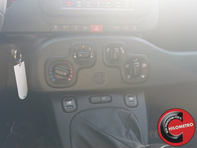 Fiat Panda Cross Cross 1.0 FireFly S&S Hybrid (20)