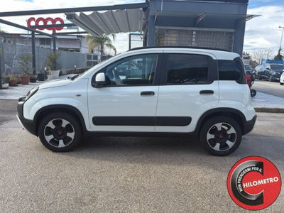 Fiat Panda Cross Cross 1.0 FireFly S&S Hybrid (3)