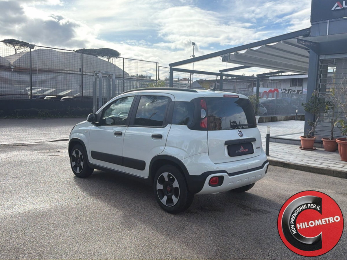Fiat Panda Cross Cross 1.0 FireFly S&S Hybrid (4)