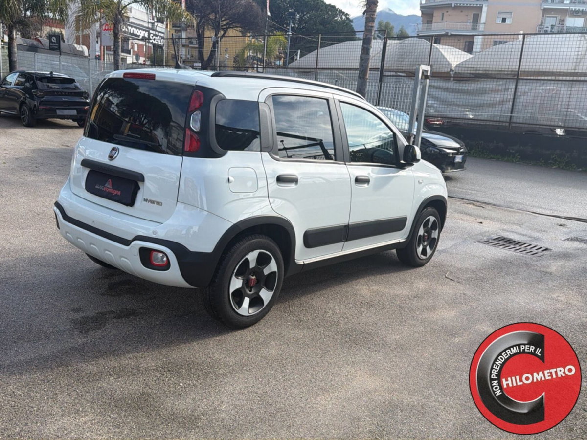 Fiat Panda Cross Cross 1.0 FireFly S&S Hybrid (6)