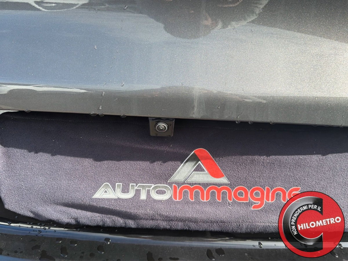 Alfa Romeo Tonale 1.6 Veloce 130cv tct6 (11)