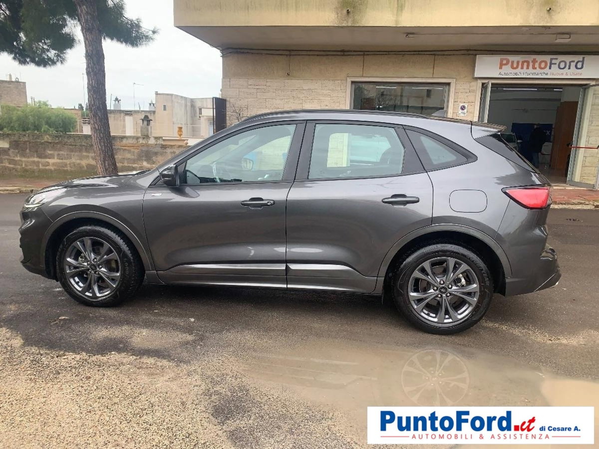 Ford Kuga 2.0 EcoBlue 120 CV aut. 2WD ST-Line X (10)