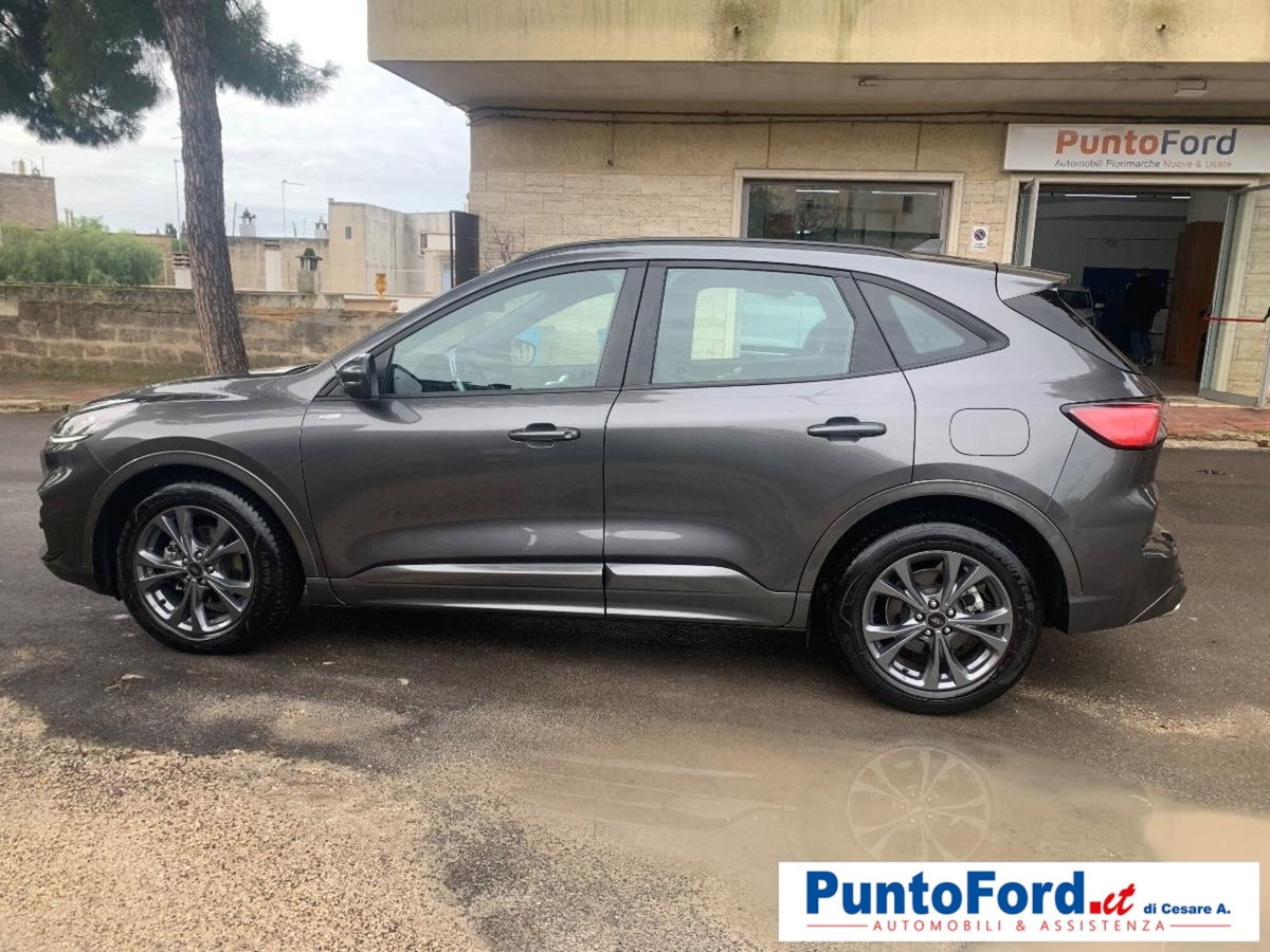 Ford Kuga 2.0 EcoBlue 120 CV aut. 2WD ST-Line X (11)