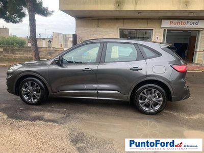 Ford Kuga 2.0 TDCI 120 CV S&S 2WD Powershift ST-Line (11)