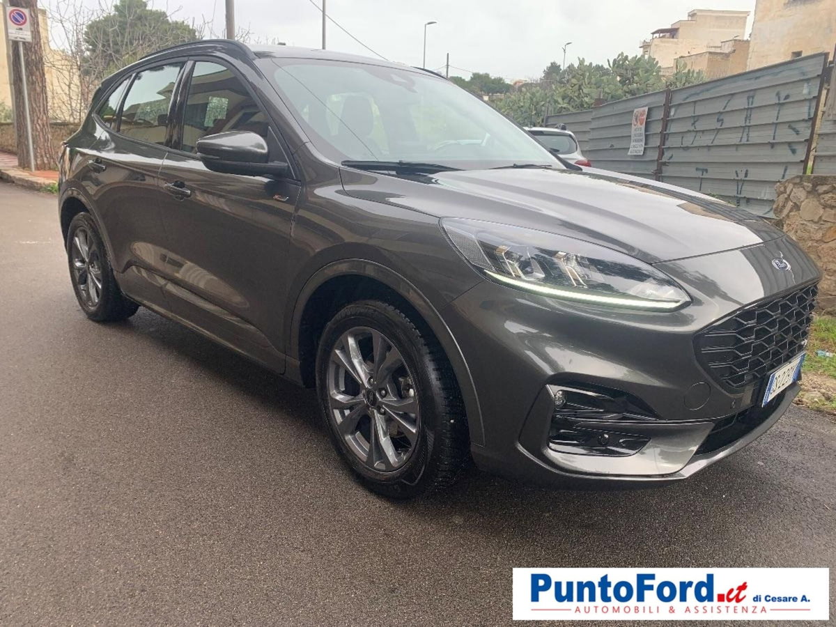 Ford Kuga 2.0 EcoBlue 120 CV aut. 2WD ST-Line X (2)