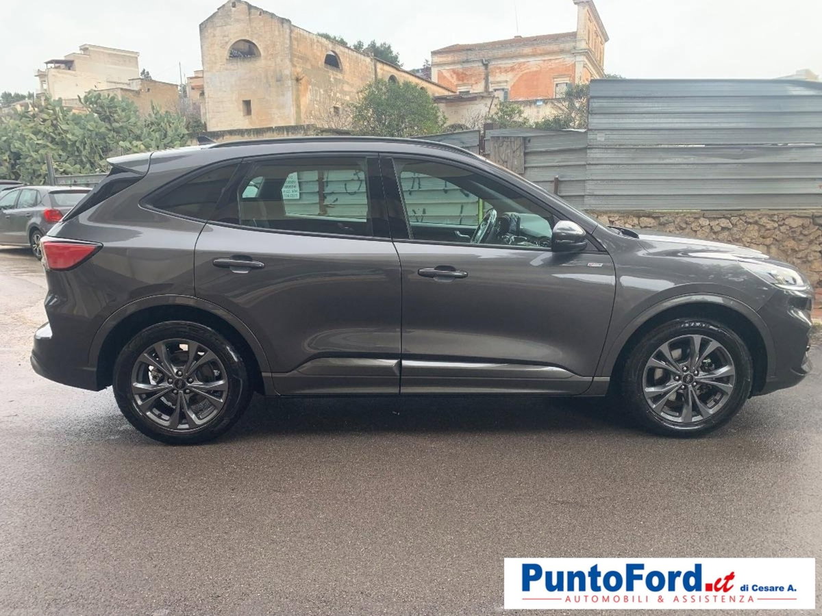 Ford Kuga 2.0 EcoBlue 120 CV aut. 2WD ST-Line X (3)