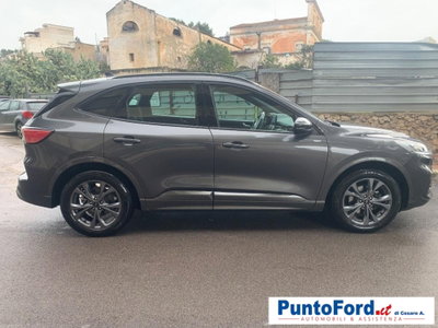Ford Kuga 2.0 TDCI 120 CV S&S 2WD Powershift ST-Line (3)